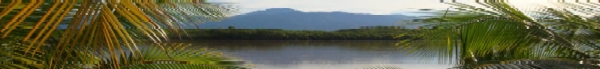 Palo Seco